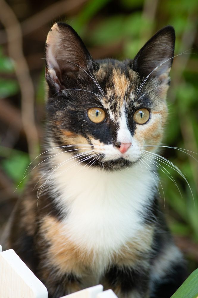 Photograph by Ирина Нурбаева