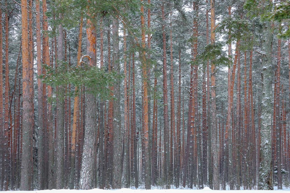 Photograph by Андрей