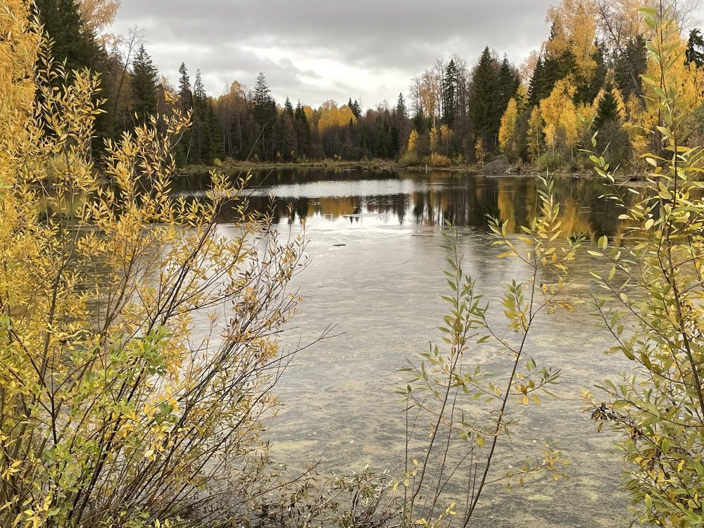 Photograph by Ольга Гущина