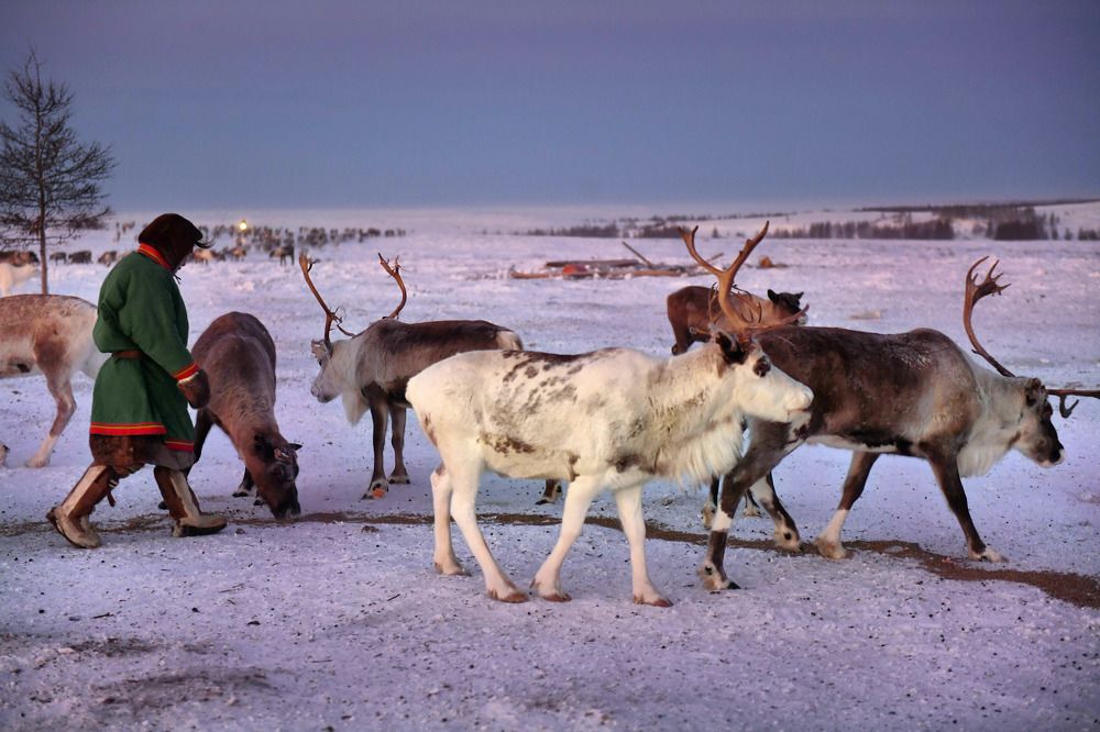 Photograph by Марина Пешкова