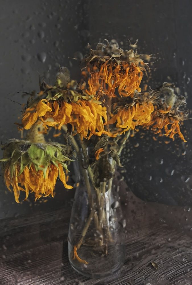 Photograph by Евгения Цой