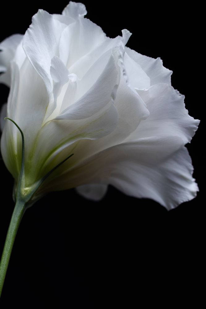 Photograph by Мария Кудрявцева