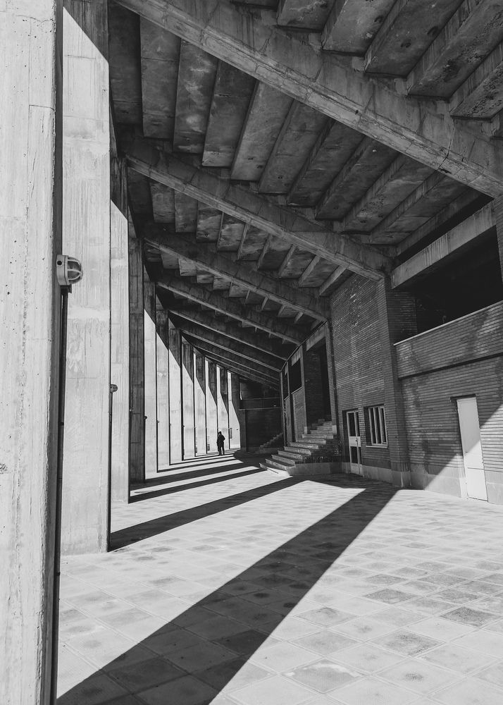 Photograph by Parisa hosseini