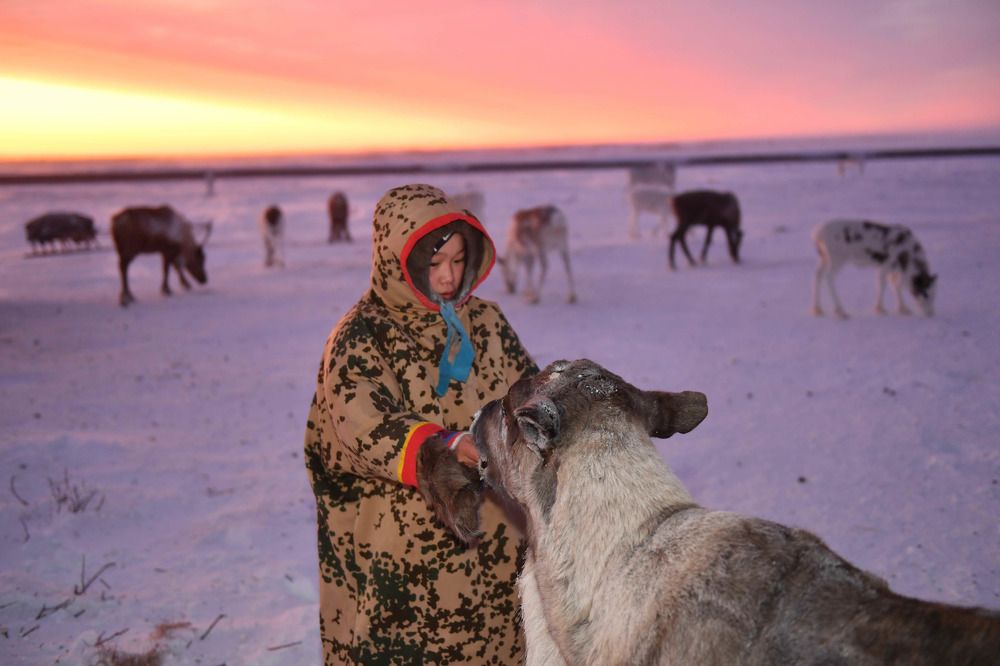 Photograph by Марина Пешкова