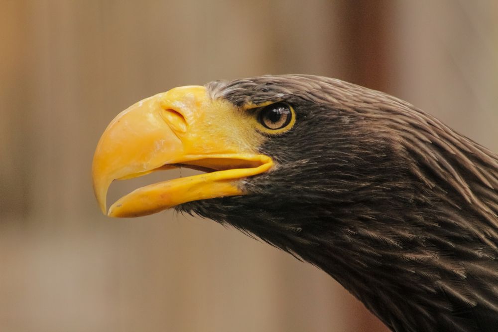 Photograph by Елизавета Цемко