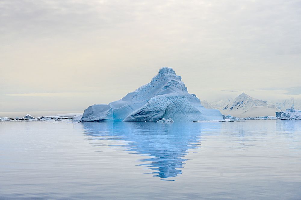 Photograph by Мария Новоселецкая