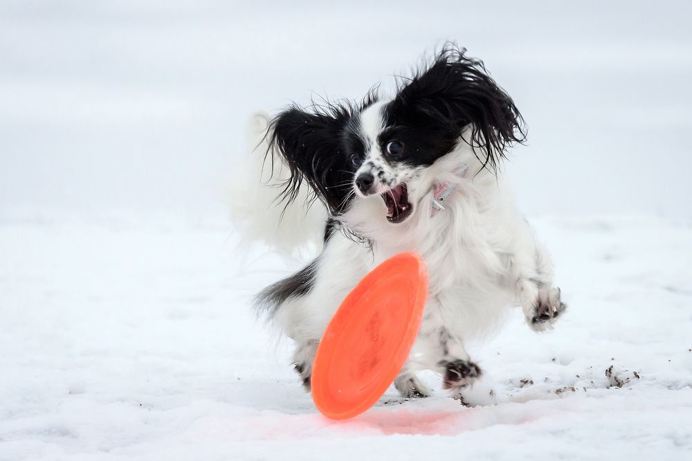 Photograph by Мария Новоселецкая
