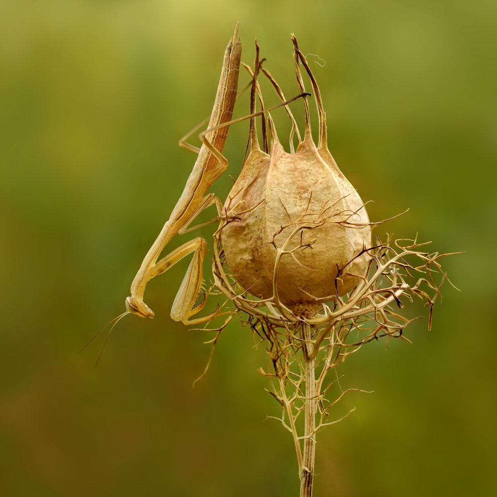Photograph by Павел Колеснев