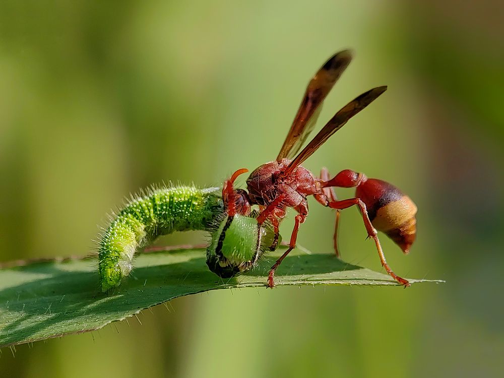 Photograph by Shankhadip Choudhury