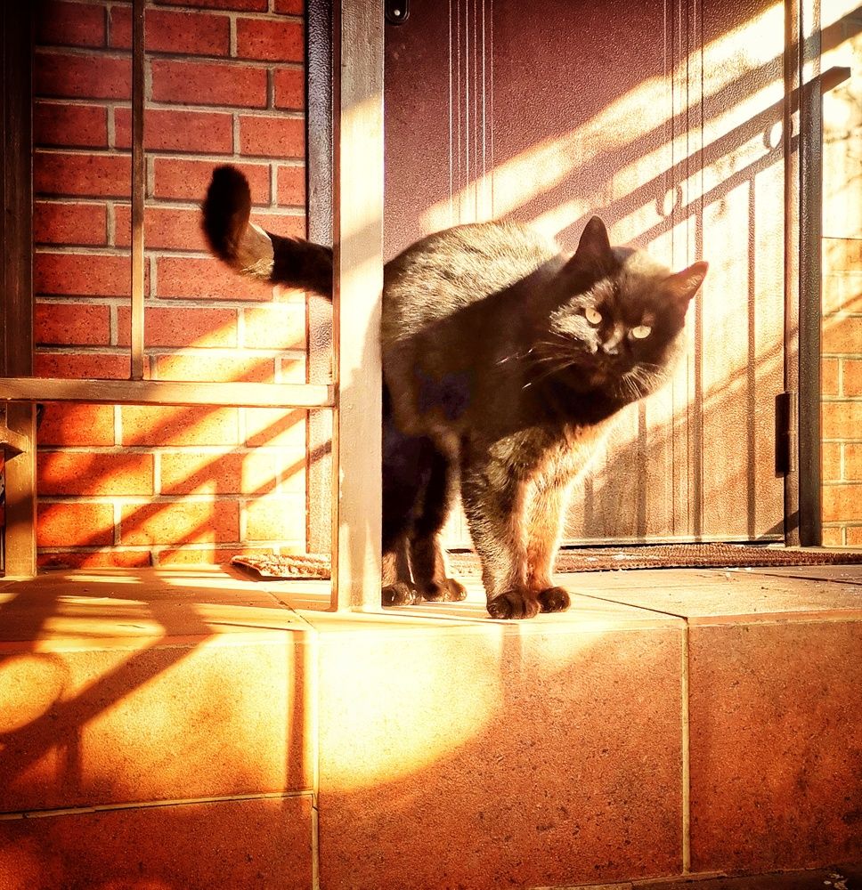 Photograph by 