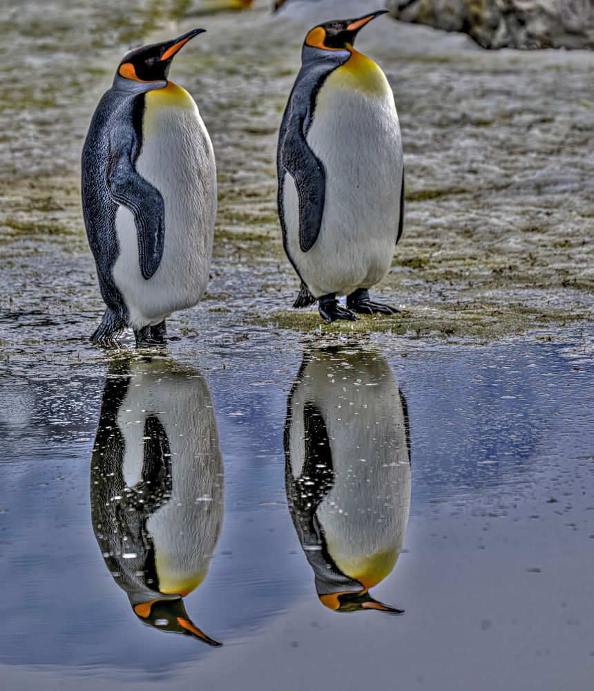 Фотография автора andrey gagarin