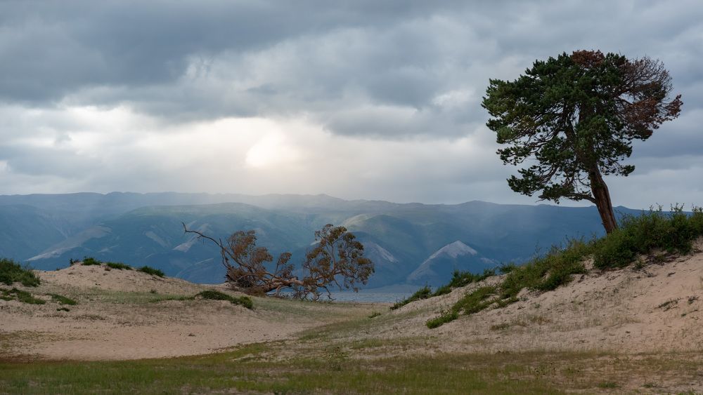 Фотография автора Рохмистрова Мария