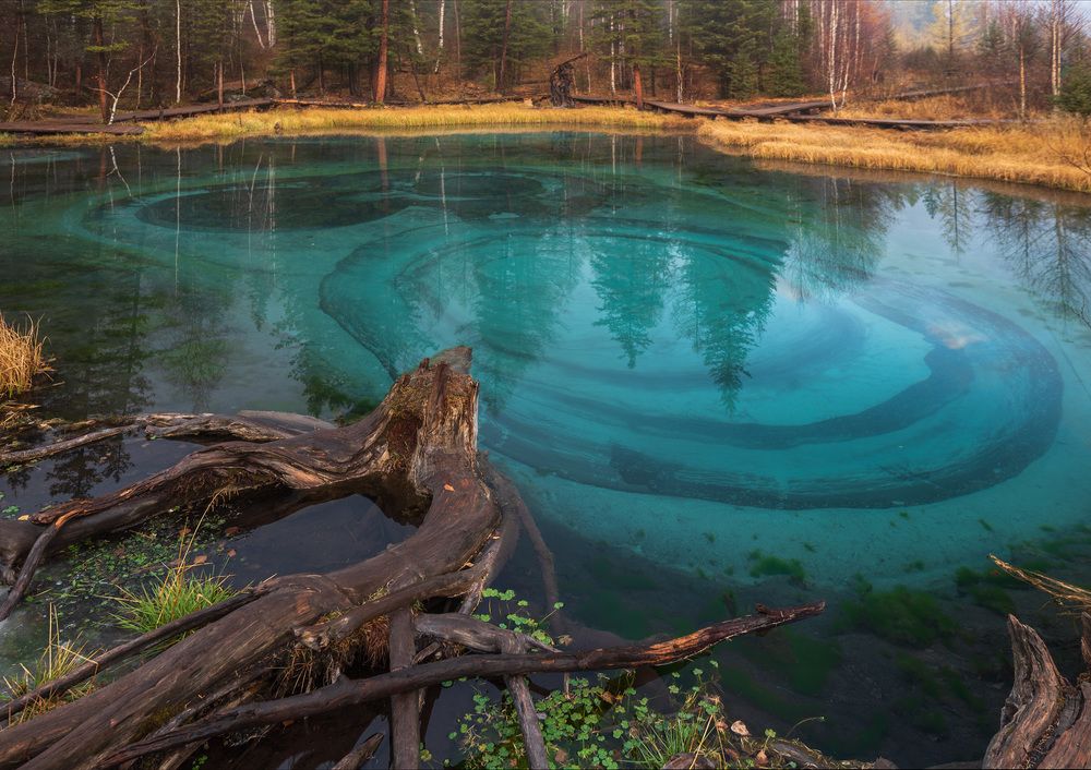 Photograph by Крицак Ольга