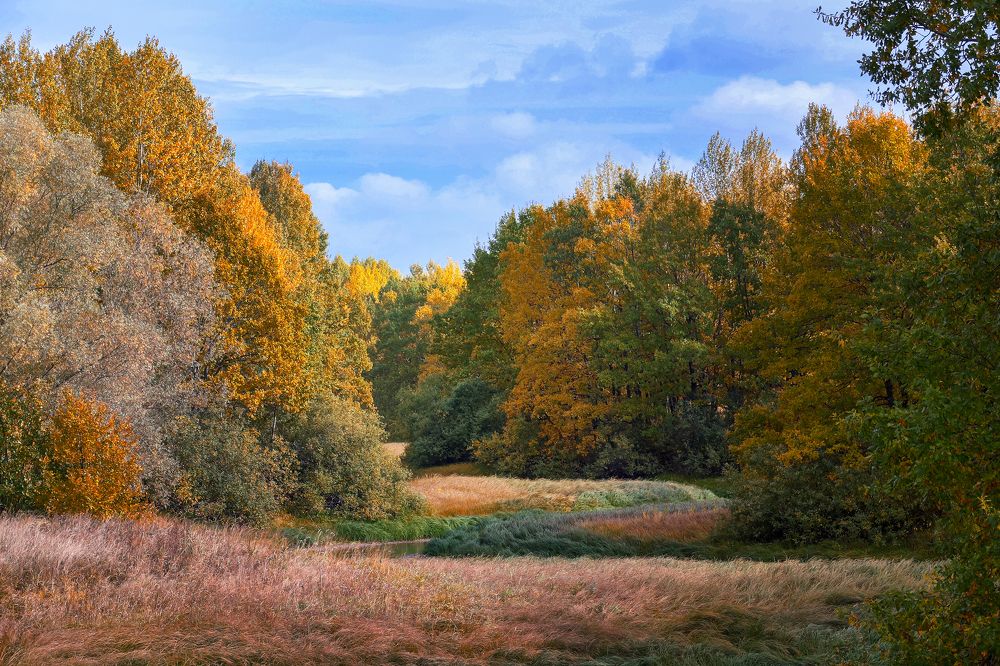 Photograph by Андрей