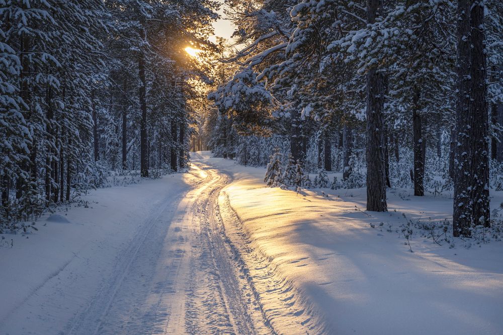 Photograph by Татьяна Борисова