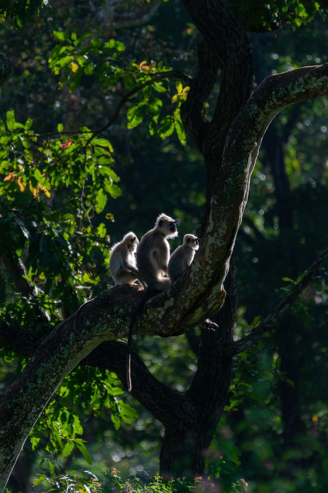 Family time...