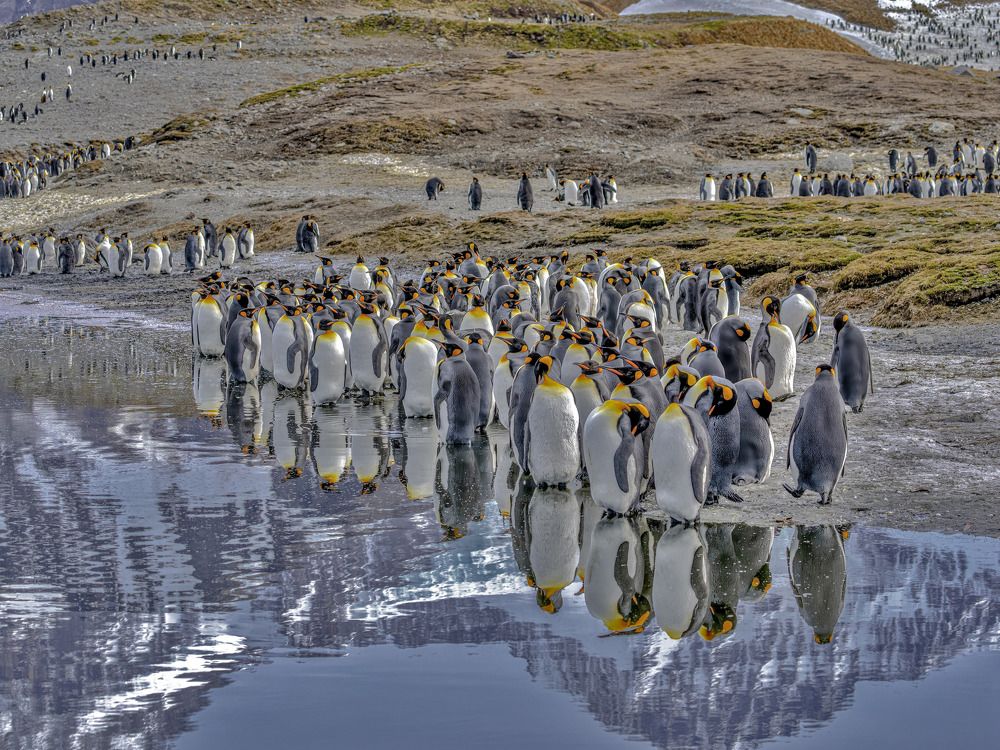 Photograph by andrey gagarin