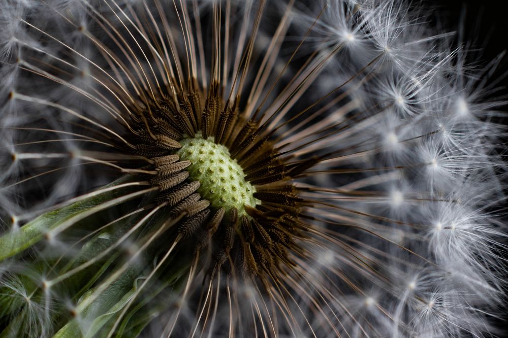 Photograph by Мария Кудрявцева