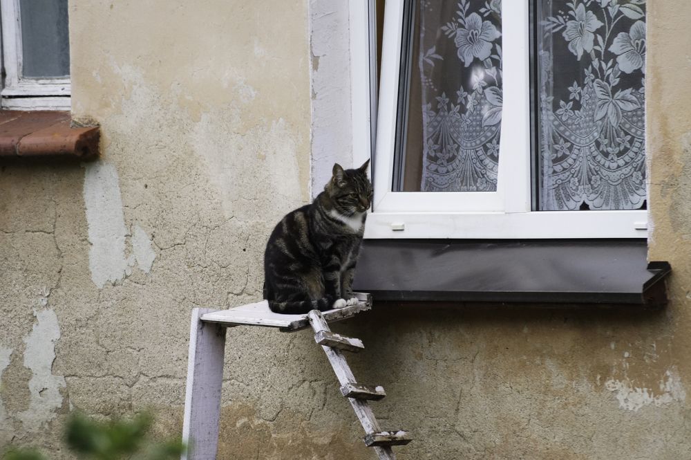 Photograph by Оксана Кобинец