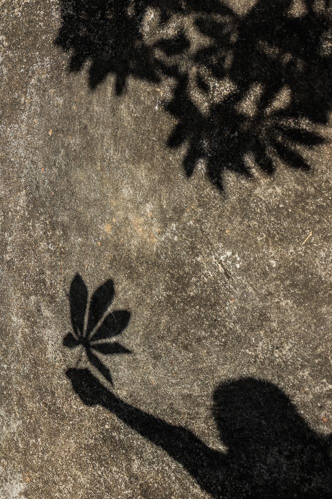 Photograph by Janith Prasanna J.P.