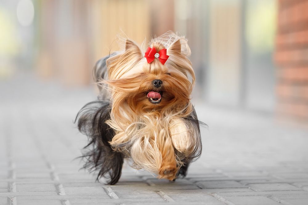 Photograph by Ольга Легенькая