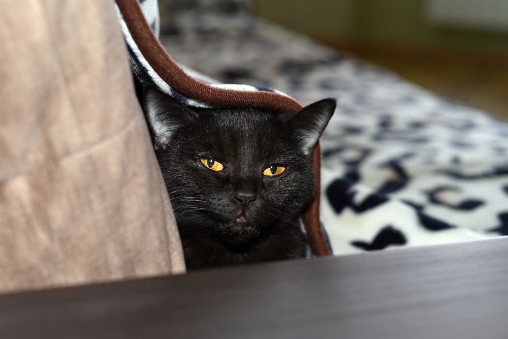 Photograph by Надежда