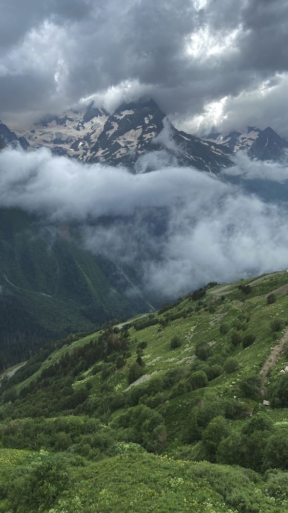 Photograph by Анастасия