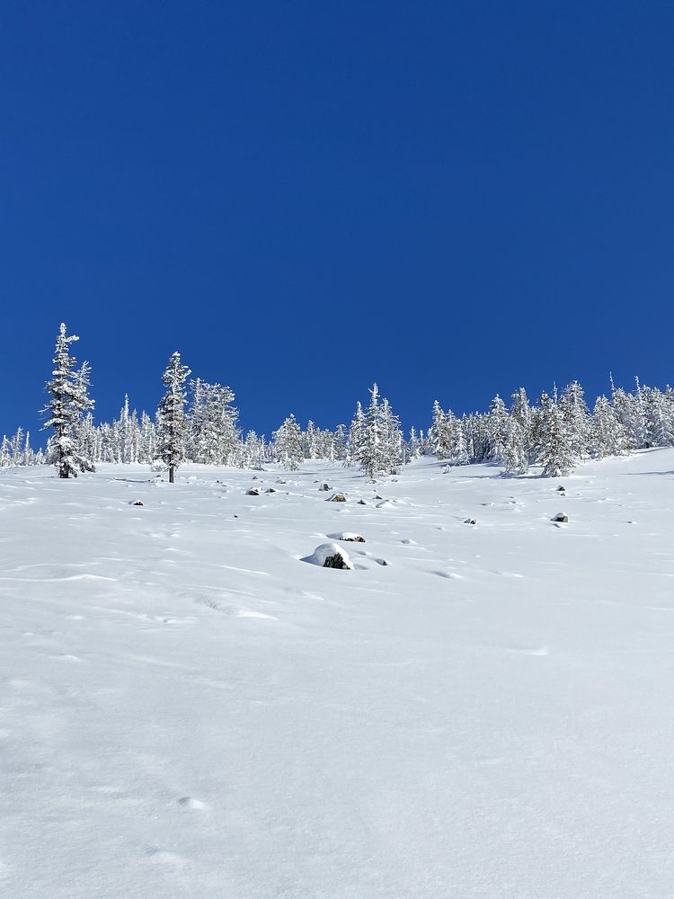 Photograph by Анастасия