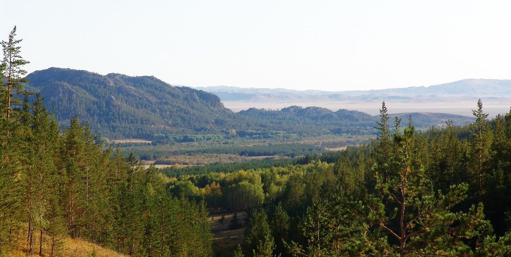 Photograph by Михаил Максимов