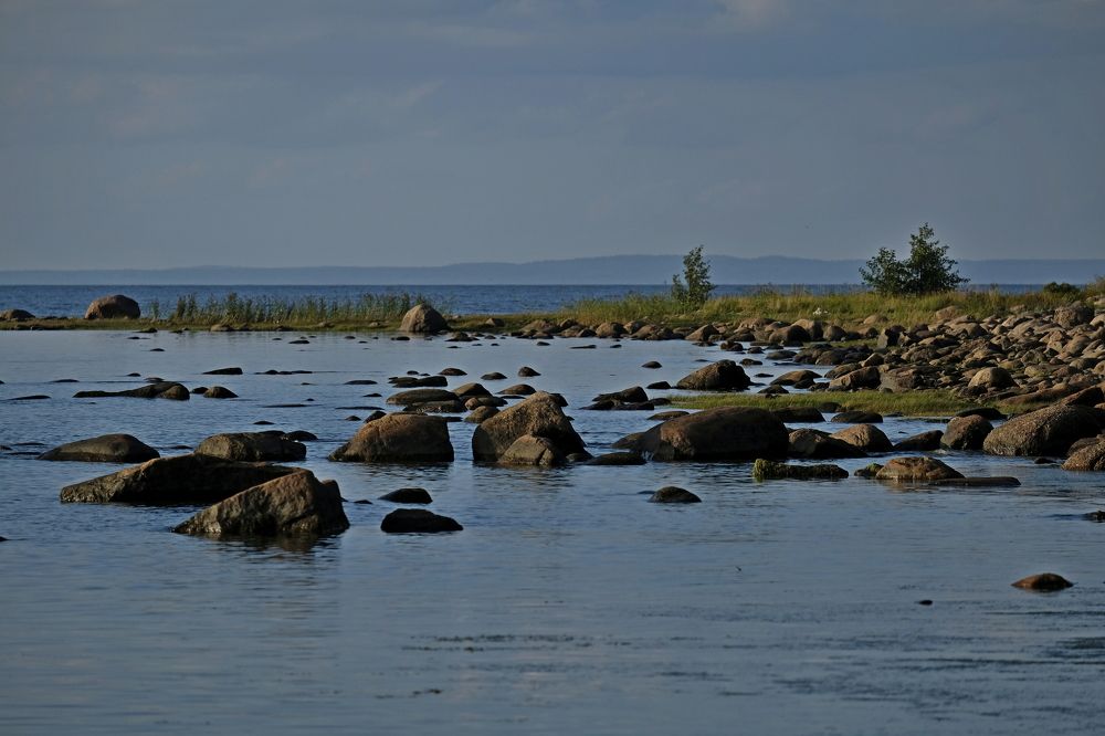 Photograph by Дмитрий Коваленко