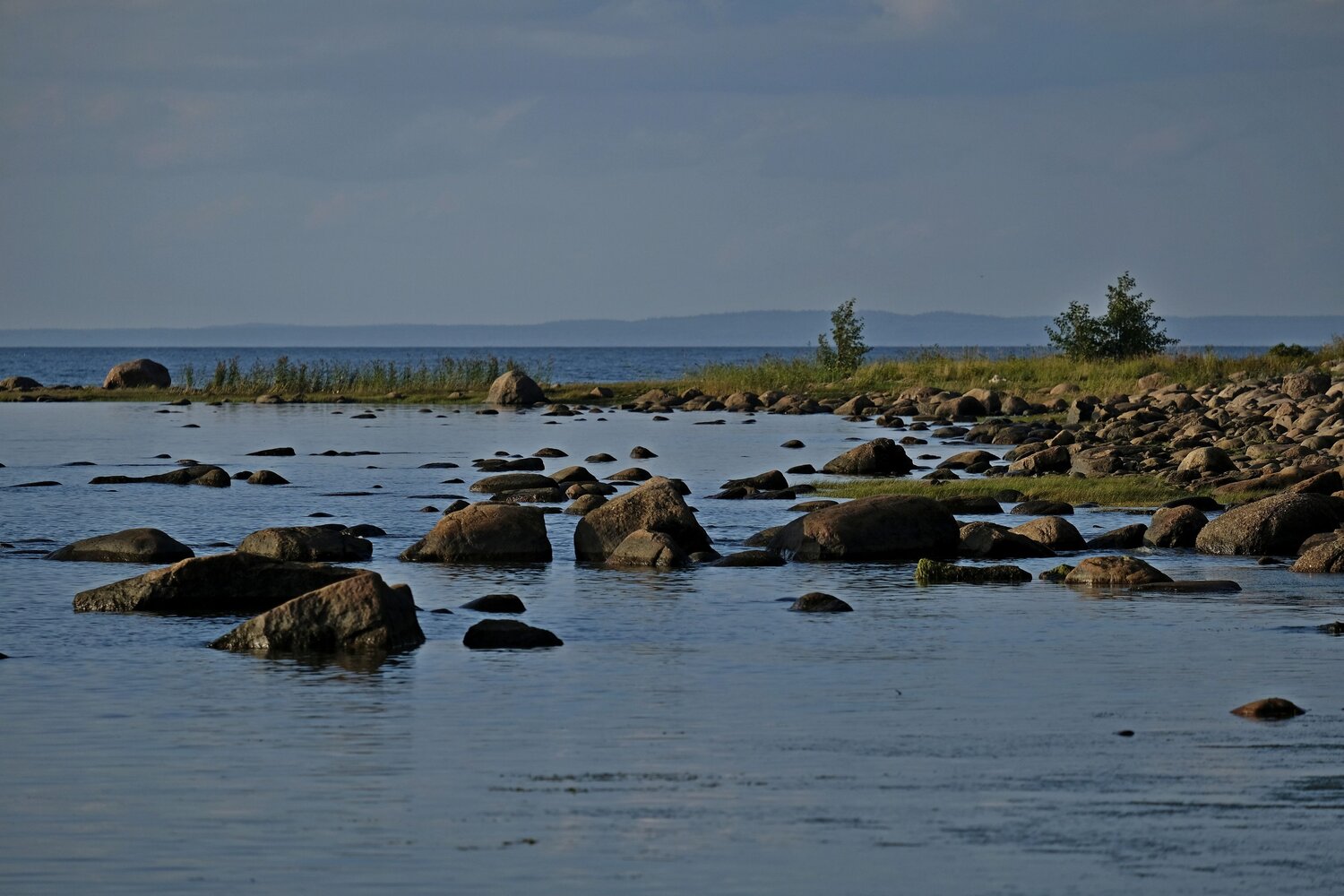 Photo #8949662