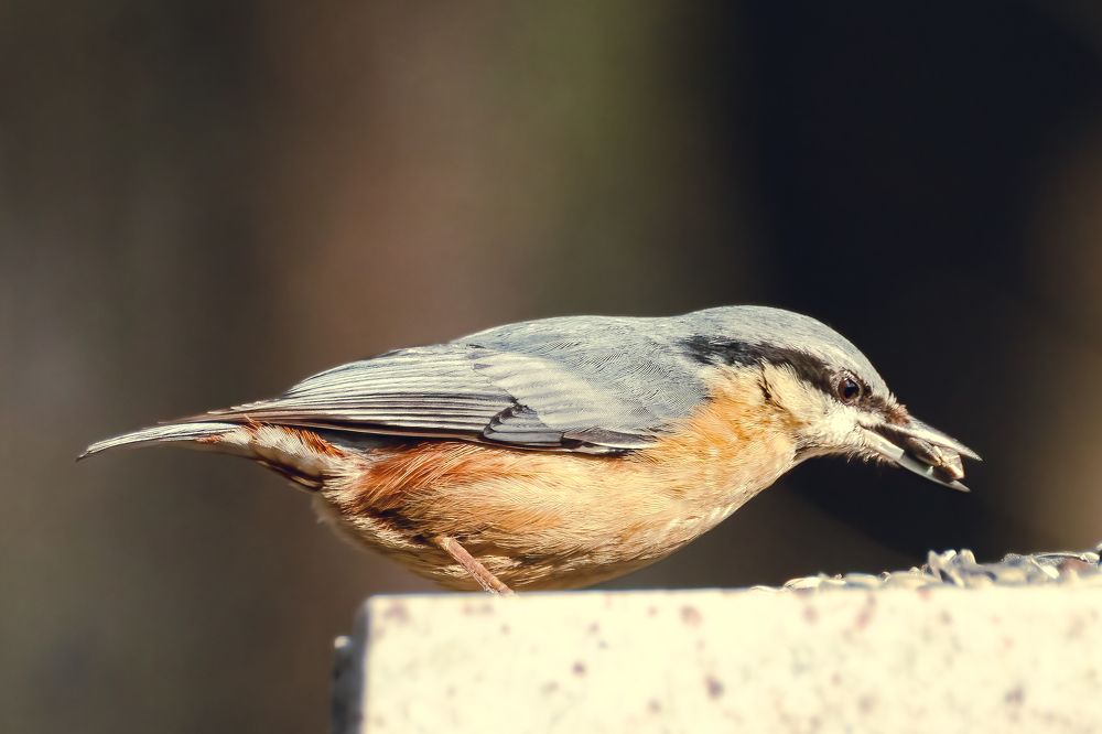 Photograph by Gregor Kobilica