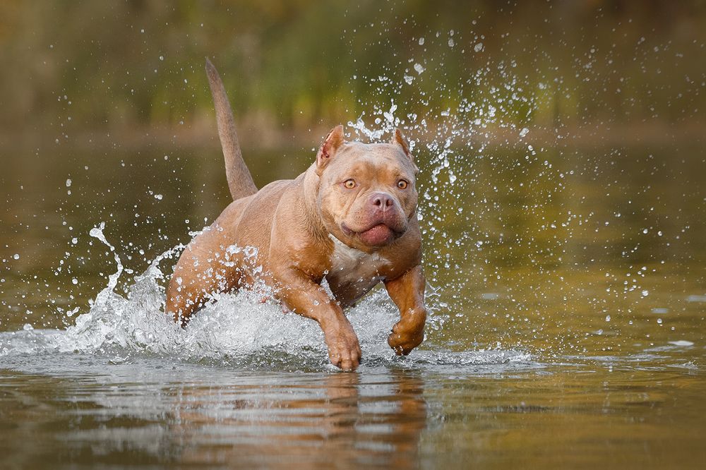 Photograph by Ольга Легенькая