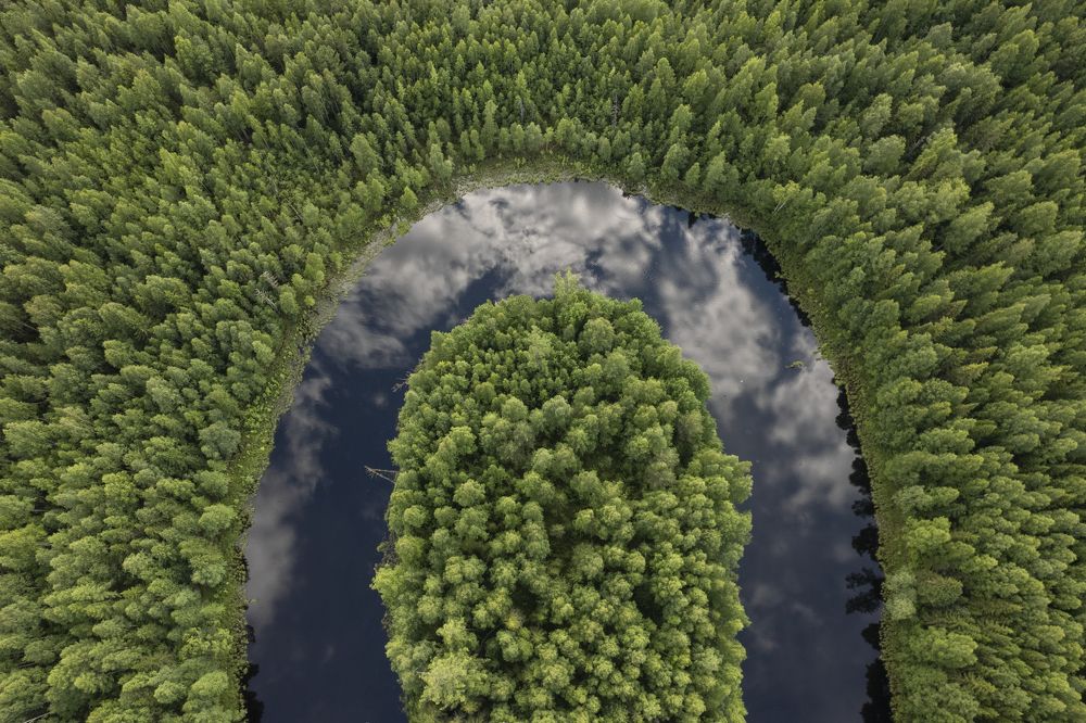 Photograph by Татьяна Борисова