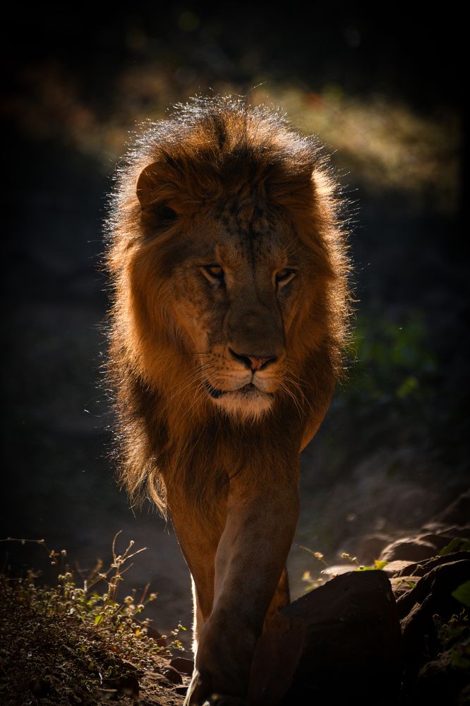 Photograph by Taurez Anwar