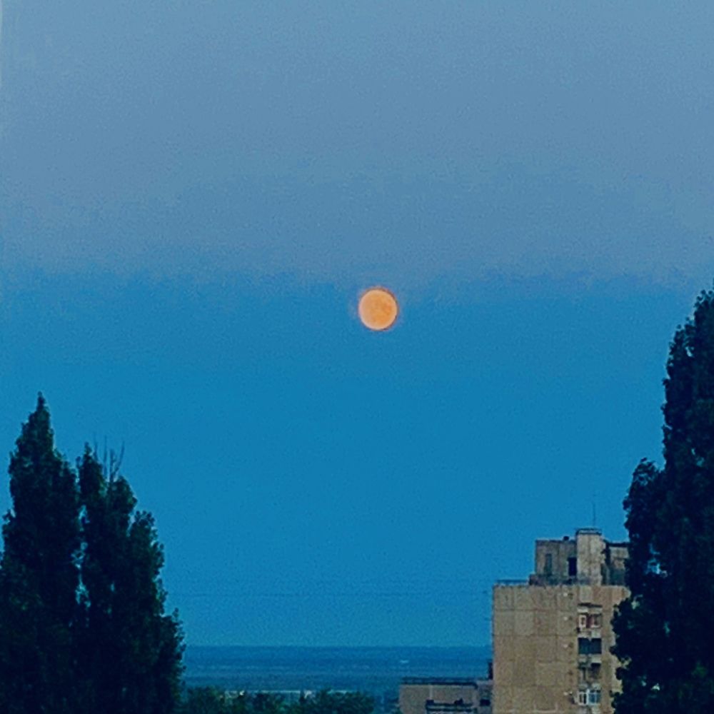 Photograph by Мария Смирнова