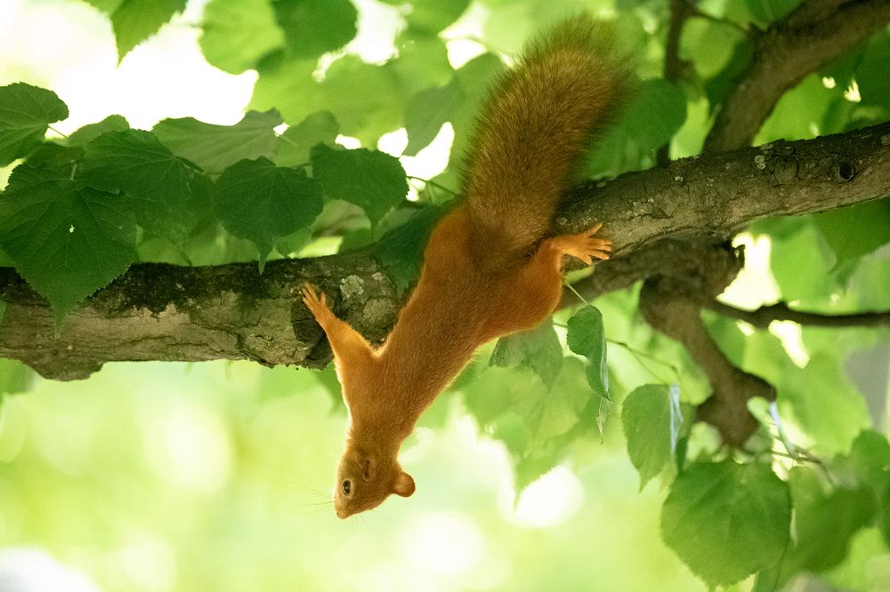 Photograph by Анастасия Петрова