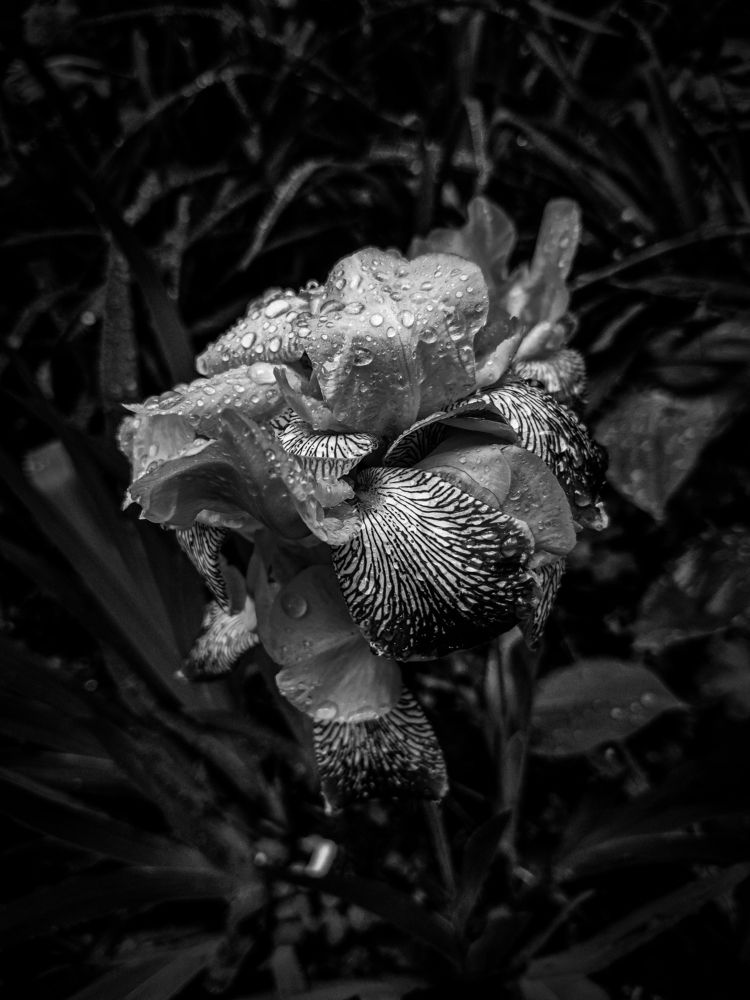 Photograph by Ольга Тюрина