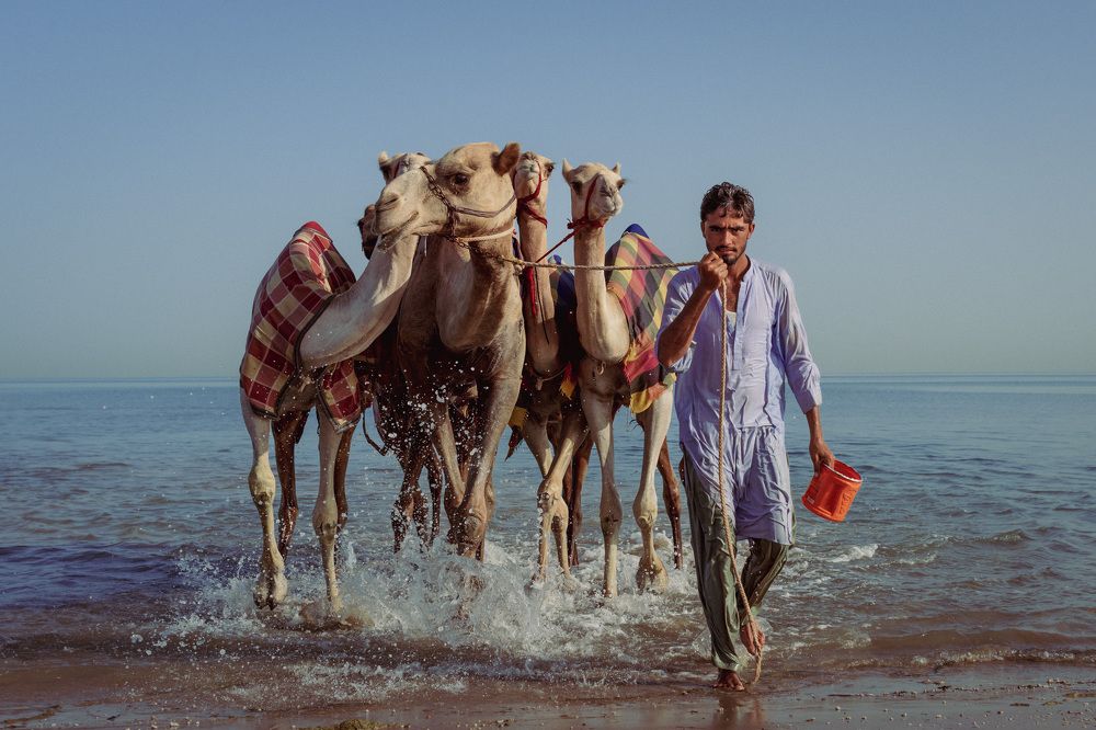 Photograph by Amar Habeeb