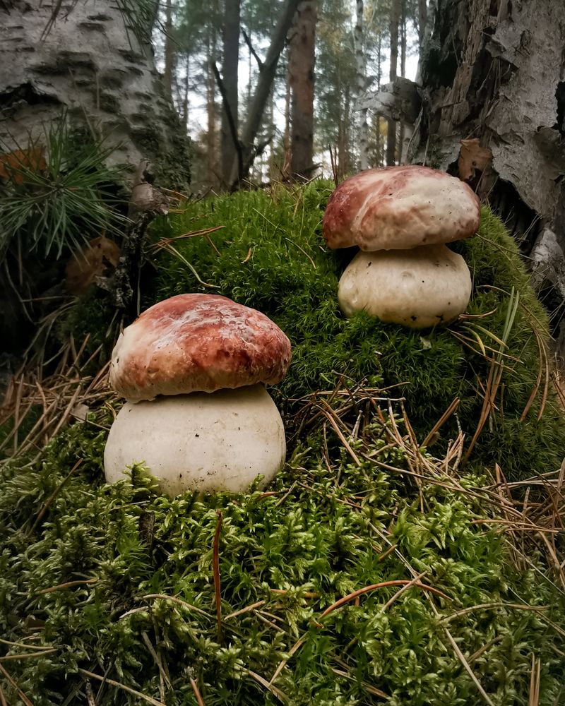 Photograph by Наталья Балабанова