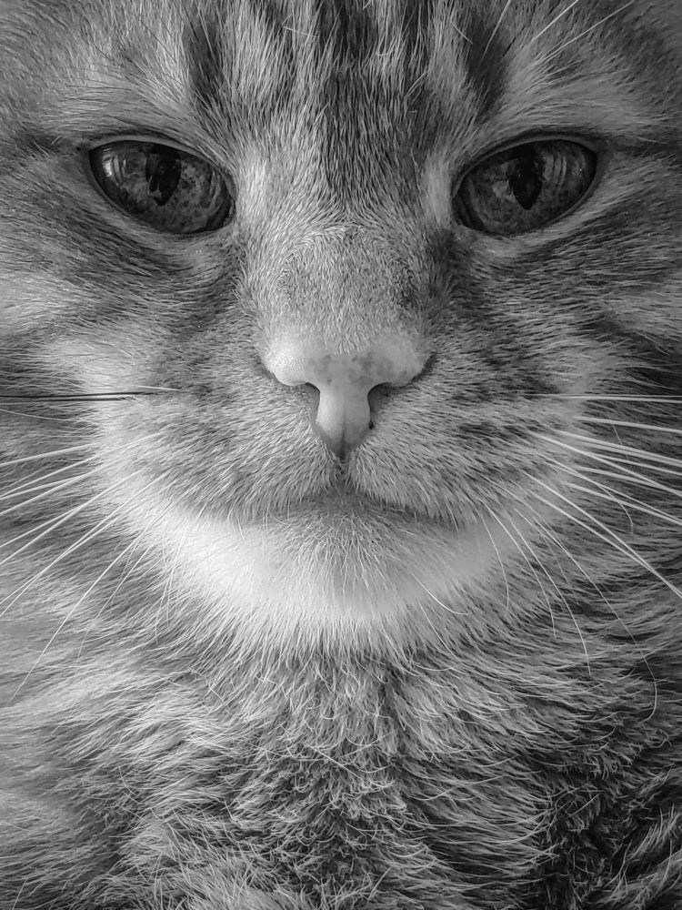 Photograph by Ольга Тюрина