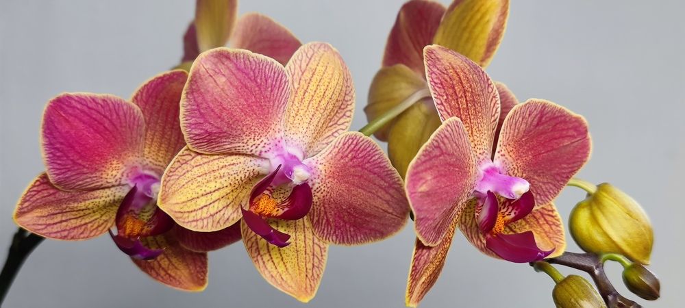 Photograph by Юрий Корсунцев