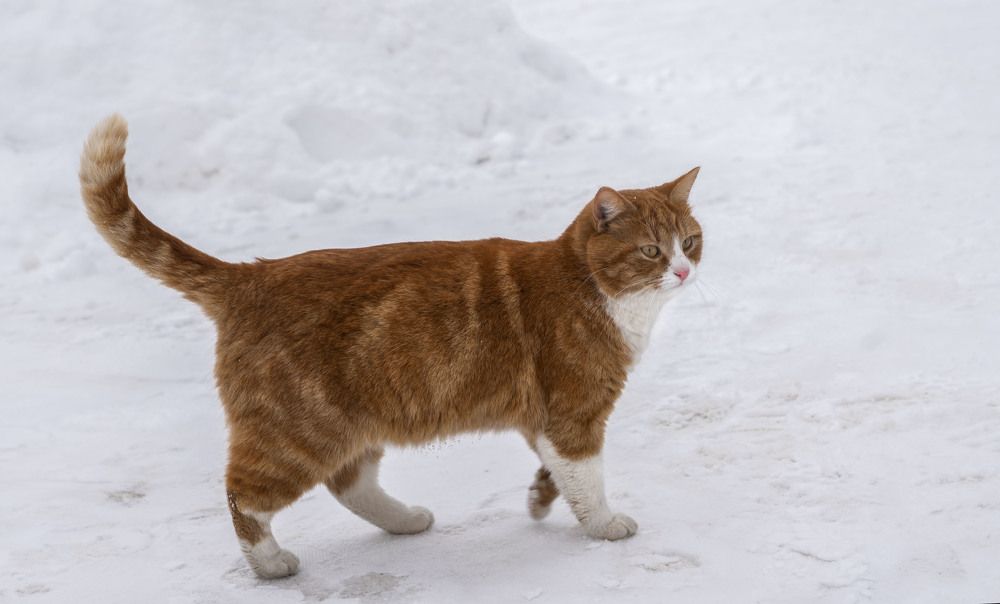 Фотография автора Галина