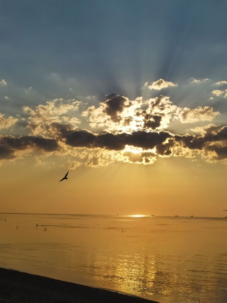 Photograph by Olga Kot