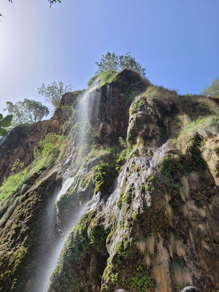 Photograph by najmeh hakimaei