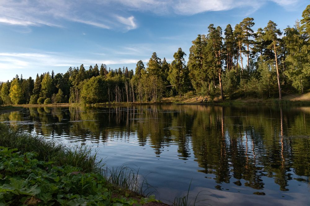 Фотография автора Рохмистрова Мария