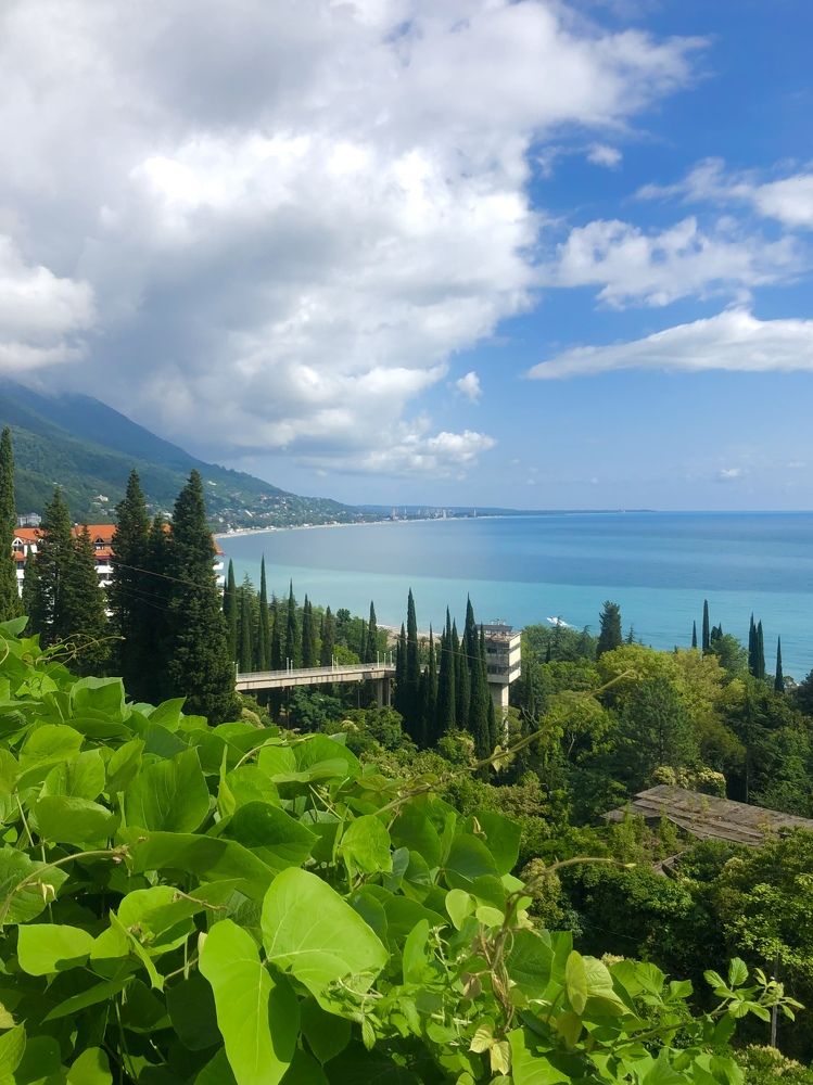 Photograph by Анастасия Майорова