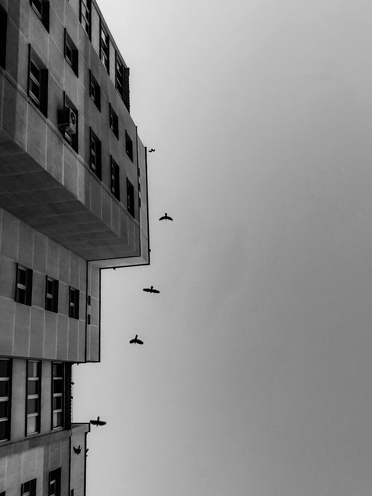 Photograph by Владимир Гвозд