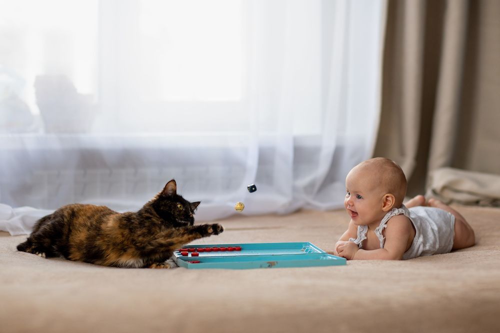 Photograph by Александр Шульга