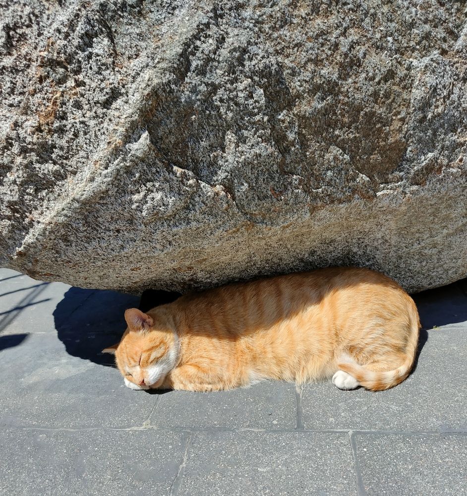 Прятка от солнца